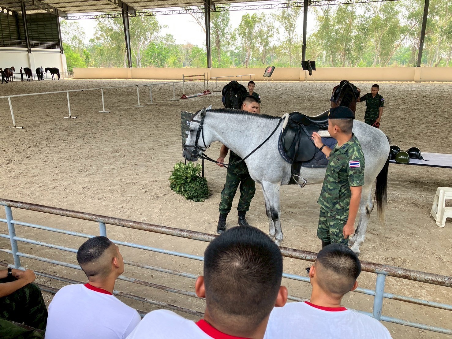 20 ก.พ. - 1 มี.ค. 69
นนร. ชั้นปีที่ 2 รุ่นที่ 76 ฝึกภาคสนาม วิชาการฝึกยุทโธปกรณ์ของเหล่าทหารม้า โดยทำการฝึก 4 สถานี
สถานีที่ 1 ขี่ม้าเบื้องต้น
สถานีที่ 2 อาวุธยุทโธปกรณ์ของเหล่าทหารม้า
สถานีที่ 3 ขับรถถังและรถสายพาน
สถานีที่ 4 พลประจำรถ (TACOS)