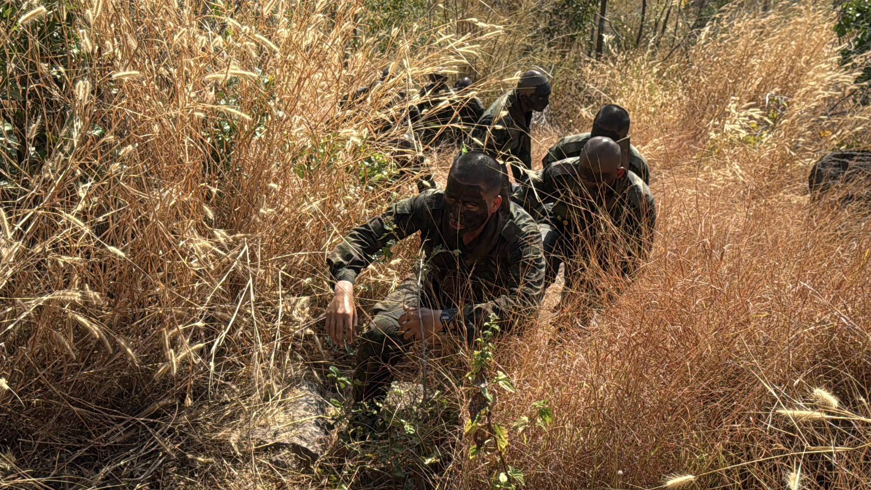 16 ม.ค. – 26 มี.ค. 69 /RangerCourse/
นนร.ชั้นปีที่ 4 รุ่นที่ 74 การฝึกหลักสูตรการรบแบบจู่โจม รุ่นที่ 143 (นนร.) ทำการฝึกตามรายภาค ดังนี้
1. ภาคที่ตั้ง/ป่าราบ 
2. ภาคการรบในสิ่งปลูกสร้าง 
3. ภาคป่าที่ลุ่ม 
4. ภาคป่าภูเขา 
5. เวลาเบ็ดเตล็ด